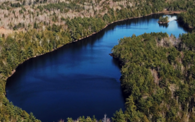 New Vining Lake Community Preserve