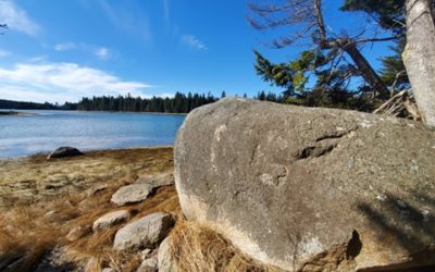 April’s Feature Preserve: Tide Mill Creek