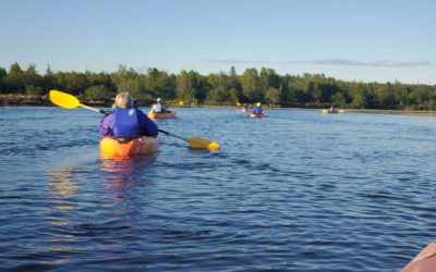 Basic Kayak Clinic with Sunrise Canoe