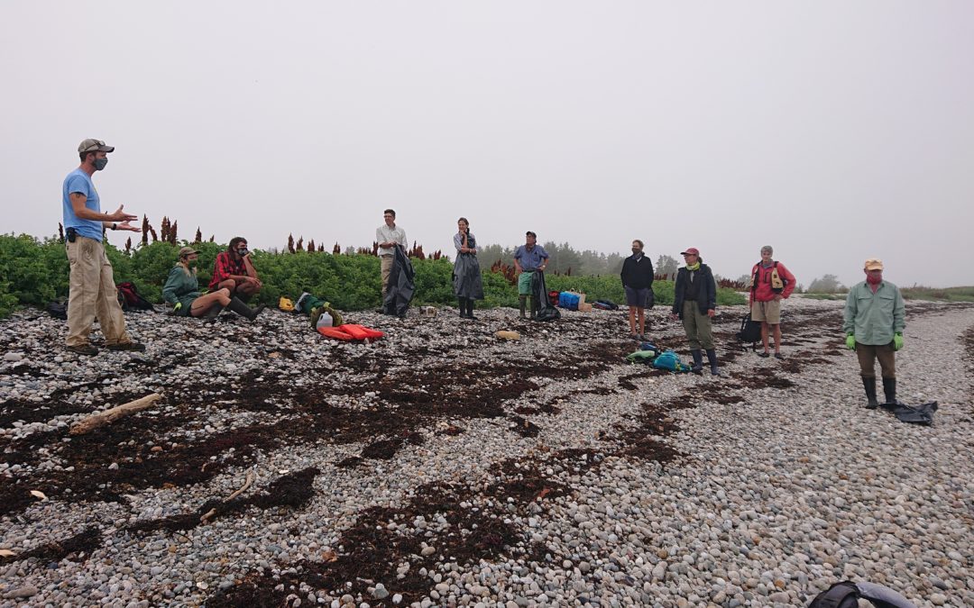 Browney Island Cleanup 2020