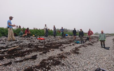 Browney Island Cleanup 2020