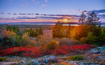 October’s Featured Preserve: Pigeon Hill