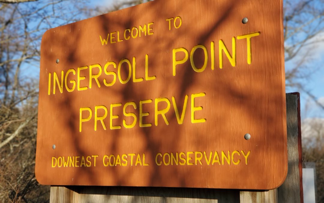 December’s Featured Preserve: Ingersoll Point