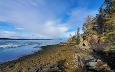 New Trail at Denbow Point Preserve