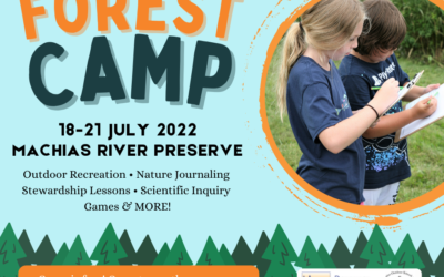 Join us for Forest Camp