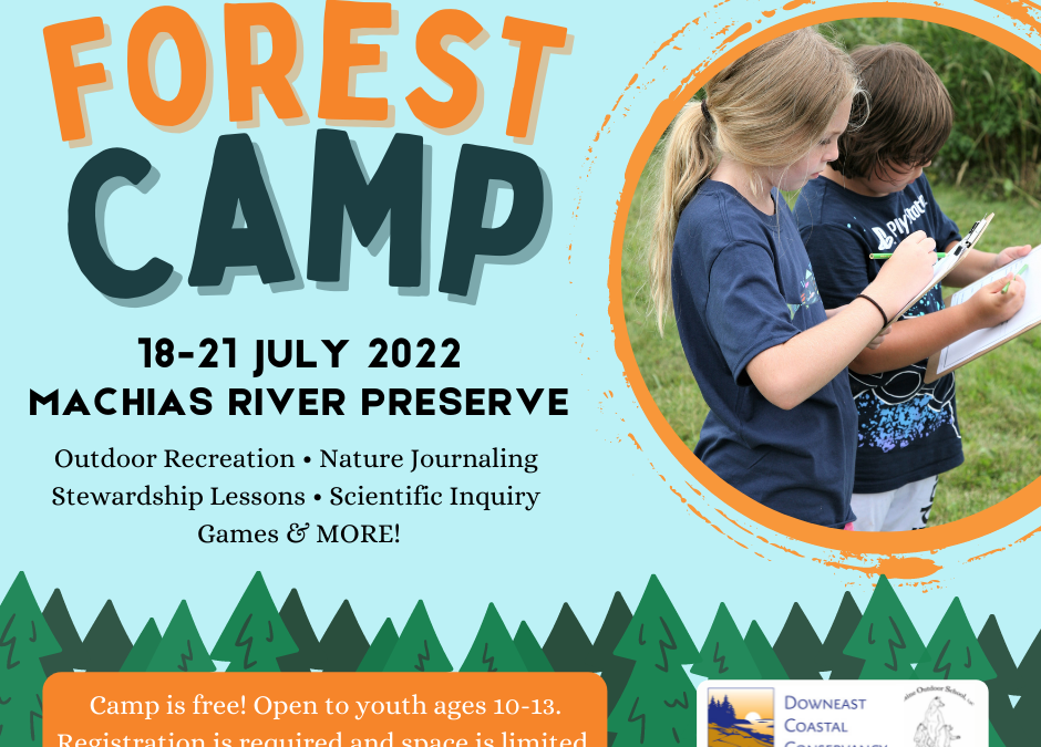 Join us for Forest Camp