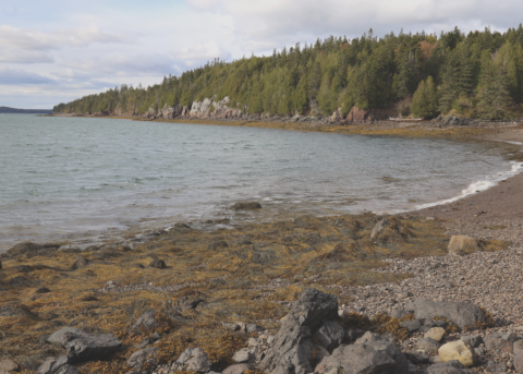 Downeast Coastal Conservancy | Machias, Maine