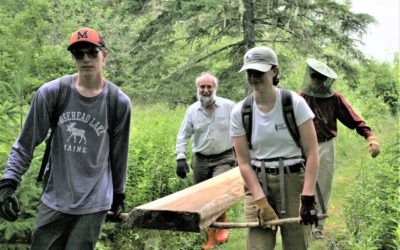 Bog-Bridging at Money Island