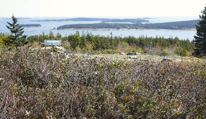 Newly cleared views at the summit overlooking Pigeon Hill Bay.