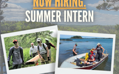 Now Hiring: Summer Internship