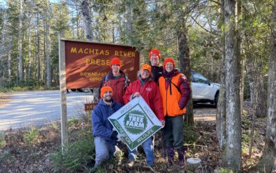 Machias River Preserve Gains Tree Farm Status