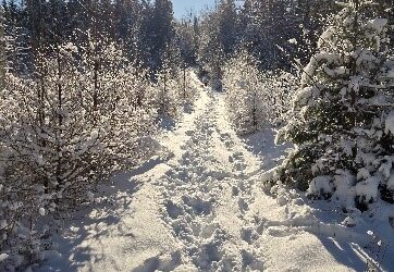 Winter Wonderland at Tide Mill Creek