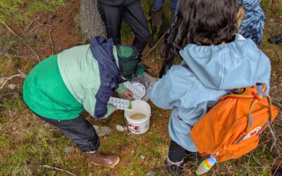 A Vernal Pools Experience: Written By Naturalist Grace Bartlett