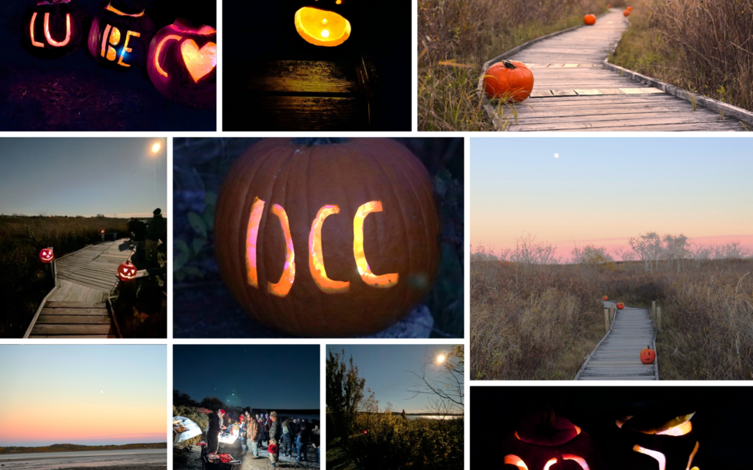 The Pumpkins Glowed
